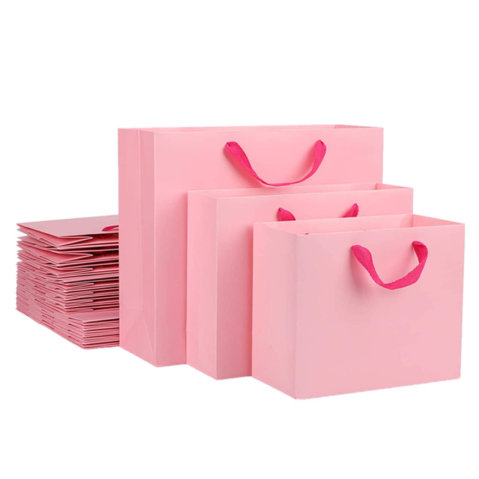 Hiệu ứng ba chiều Túi đựng giấy in có tay cầm ruy băng Pantone 1