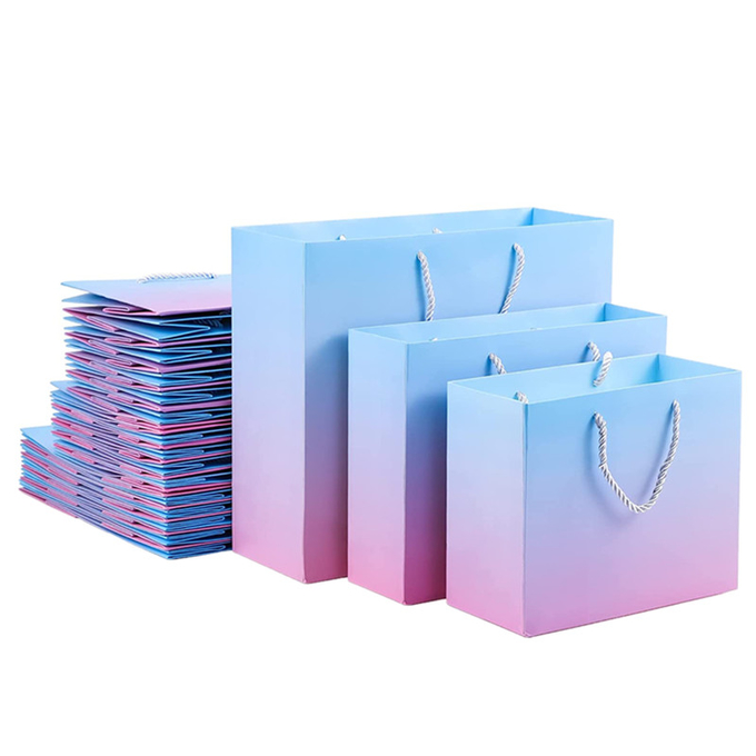 Hiệu ứng ba chiều Túi đựng giấy in có tay cầm ruy băng Pantone 2